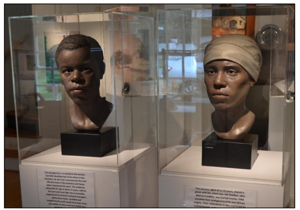 Reconstructed facial busts of two unknown individuals from the Catoctin Furnace cemetery