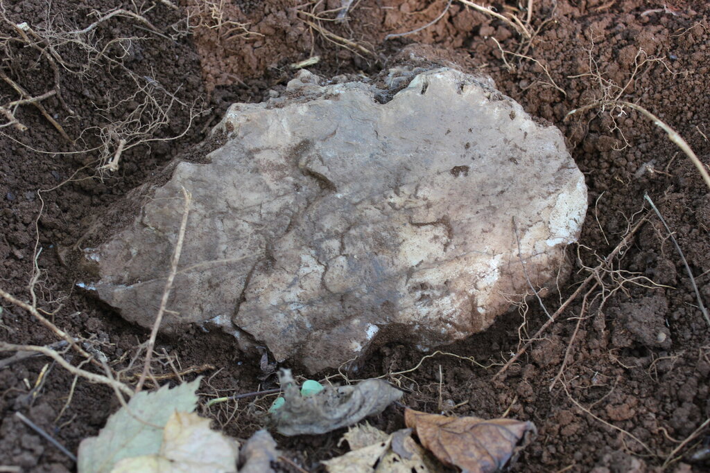 Foot stone laid at the grave of an unknown enslaved person at Catoctin Furnace cemetery